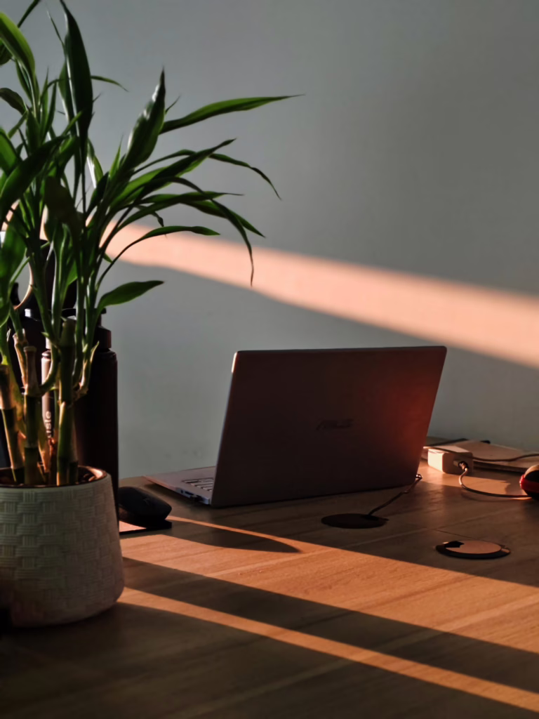 Laptop on a desk with warm natural light and a plant in the foreground